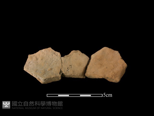 連杯形器藏品圖，第1張