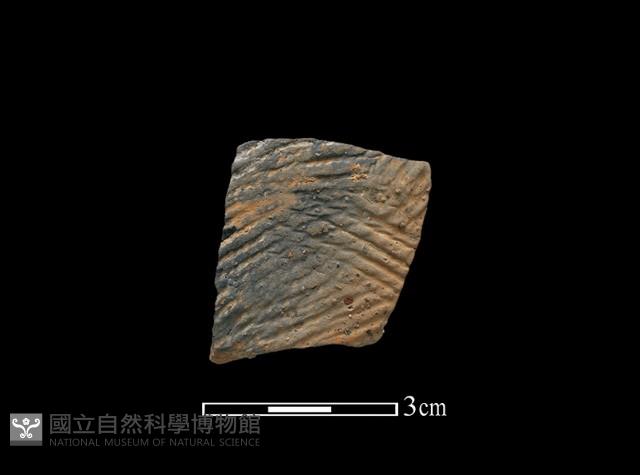 陶片藏品圖，第1張