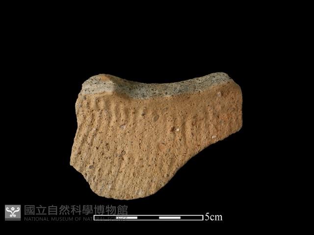 陶罐藏品圖，第1張