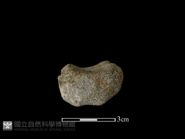 陶片藏品圖，第1張