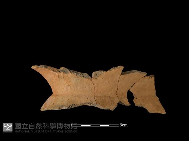 陶罐藏品圖，第2張