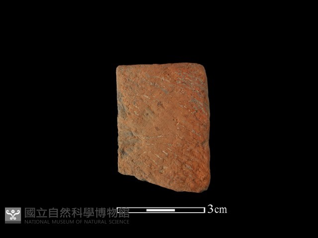 陶缽藏品圖，第1張