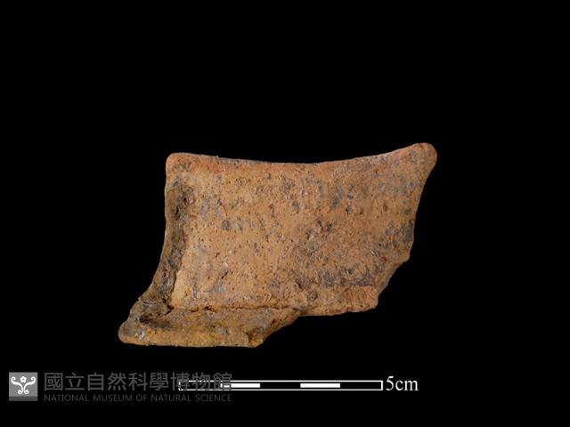 陶片藏品圖，第2張