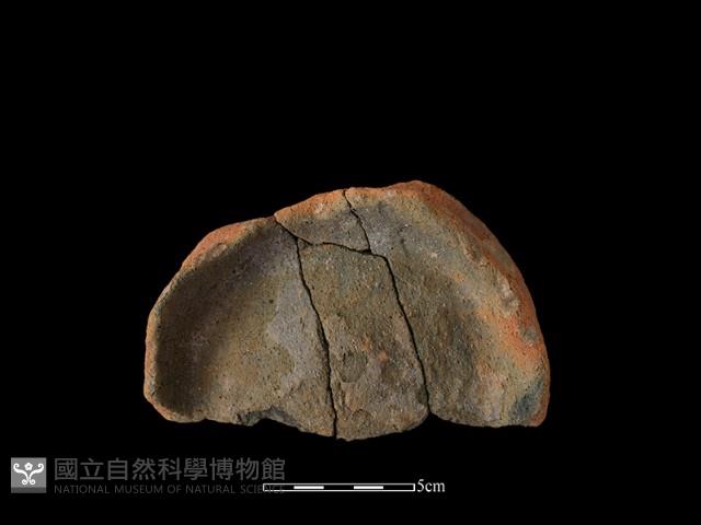 陶片藏品圖，第1張