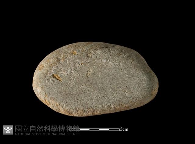 Accession Number:AHR336-2017-007 Collection Image, Figure 1, Total 4 Figures