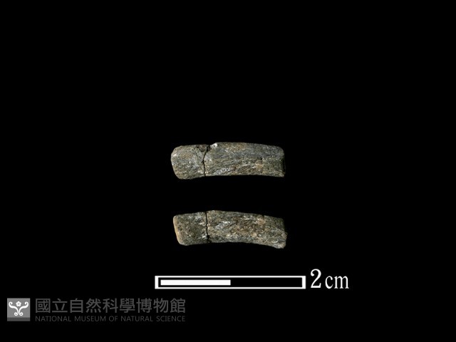 陶環藏品圖，第1張
