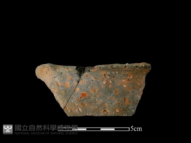 陶片藏品圖，第1張