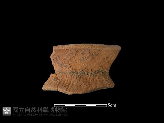 陶罐藏品圖，第1張