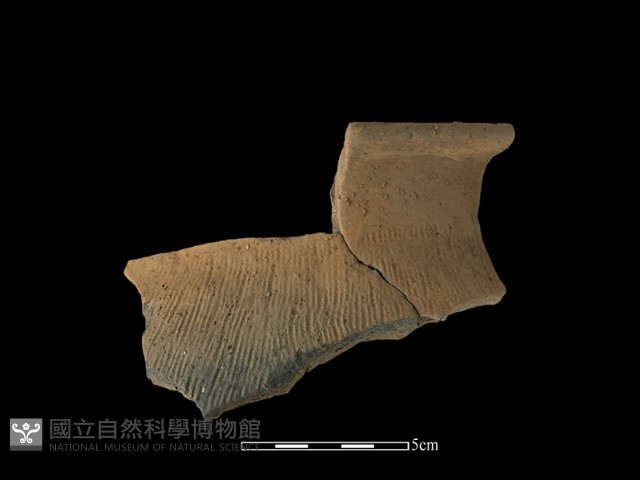 陶罐藏品圖，第2張
