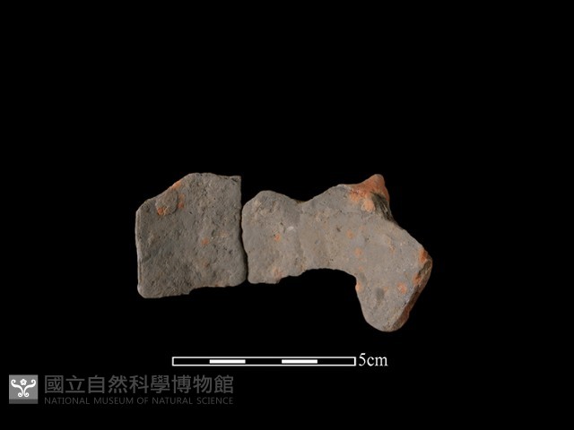 連杯形器藏品圖，第1張