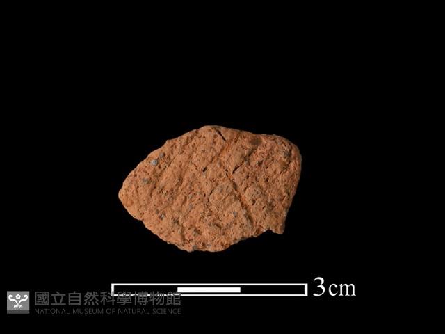 陶片藏品圖，第1張