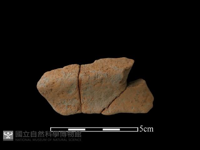 陶罐藏品圖，第2張