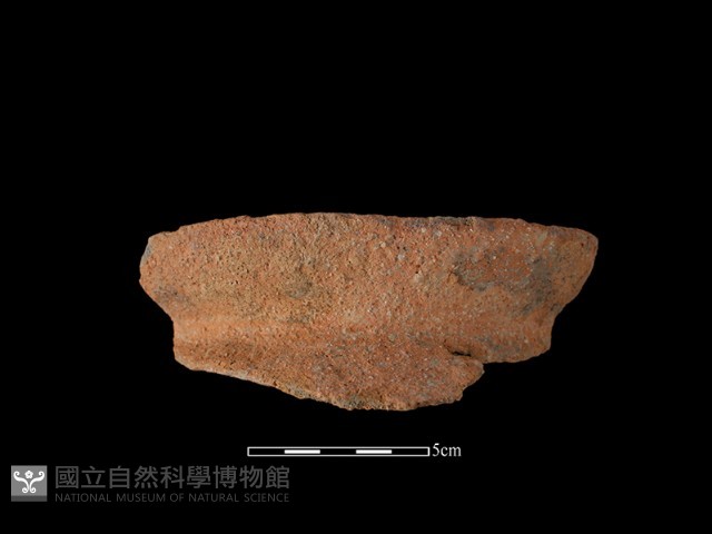 陶罐藏品圖，第2張