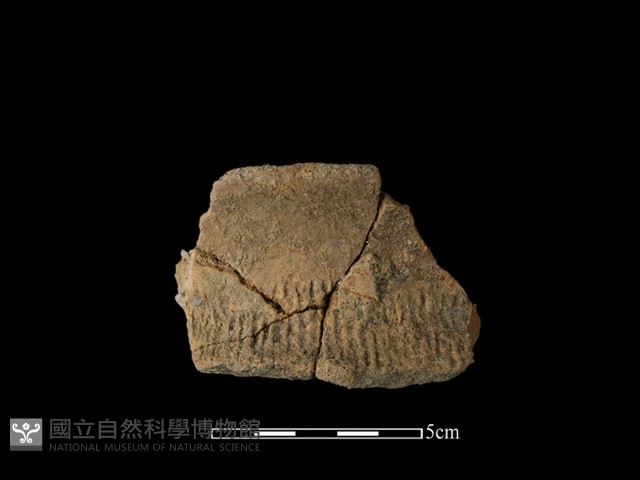 陶罐藏品圖，第2張