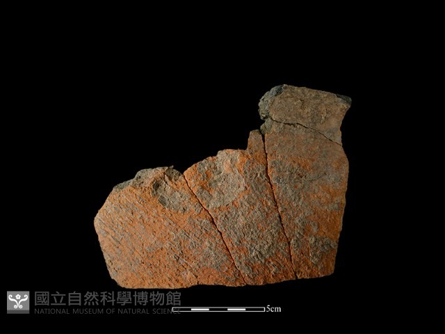 陶罐藏品圖，第1張