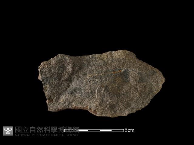 石片藏品圖，第2張