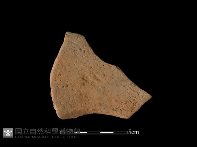 連杯形器藏品圖，第1張