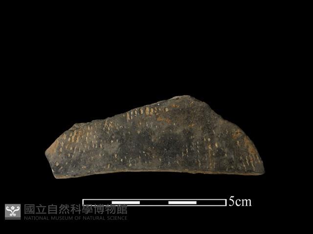 陶片藏品圖，第1張