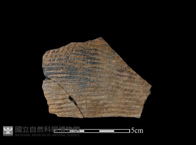 陶片藏品圖，第1張