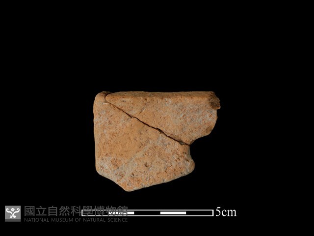 陶片藏品圖，第2張