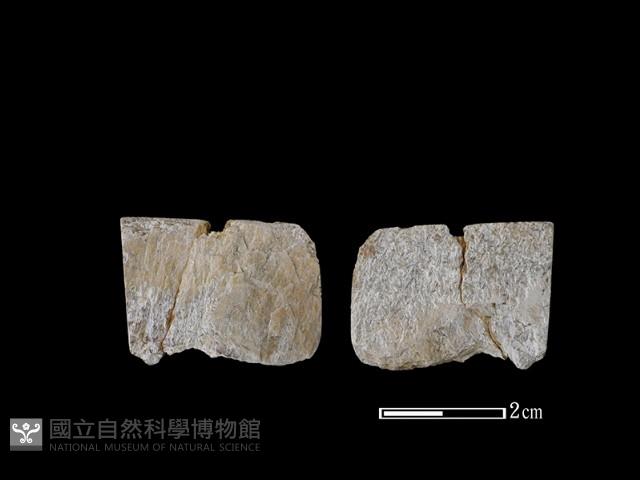 帶加工痕石材藏品圖，第1張