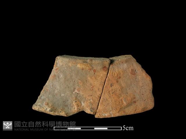 陶片藏品圖，第2張