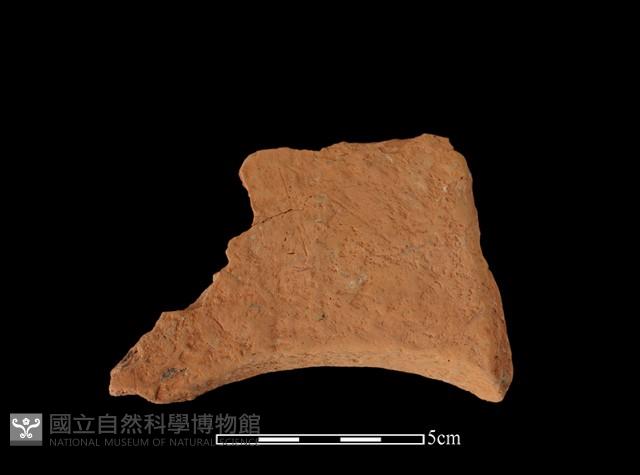 連杯形器藏品圖，第2張