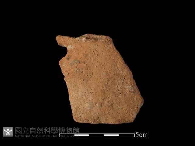 陶片藏品圖，第1張