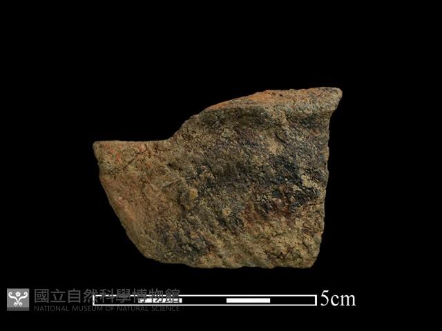 陶缽藏品圖，第1張