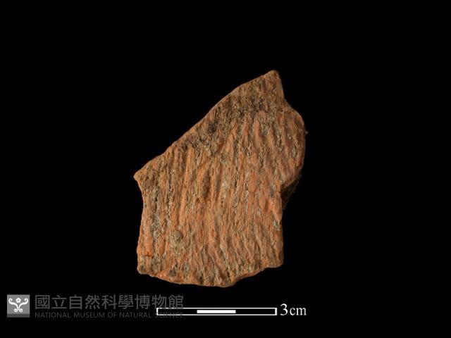 陶片藏品圖，第1張