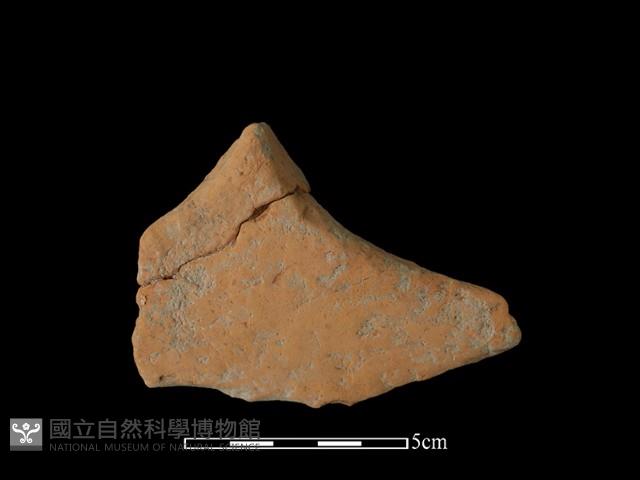 連杯形器藏品圖，第1張