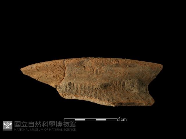 陶罐藏品圖，第2張