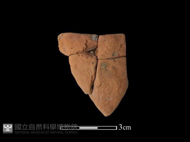 陶片藏品圖，第2張