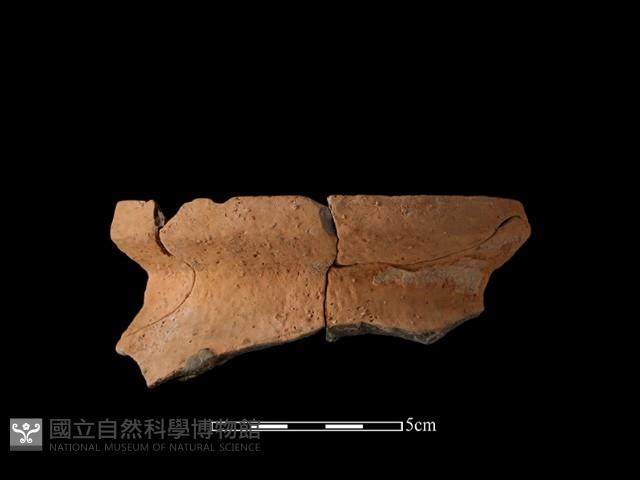 陶罐藏品圖，第2張