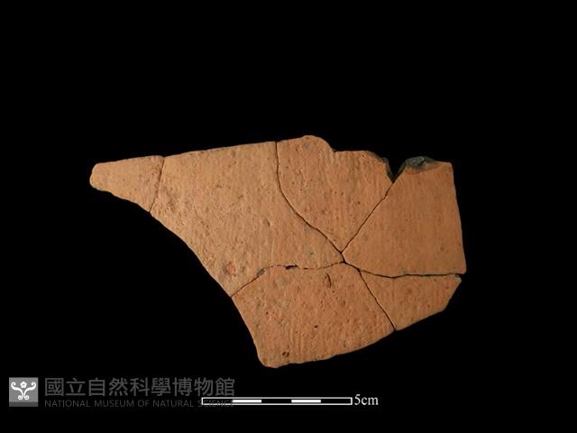 陶片藏品圖，第1張