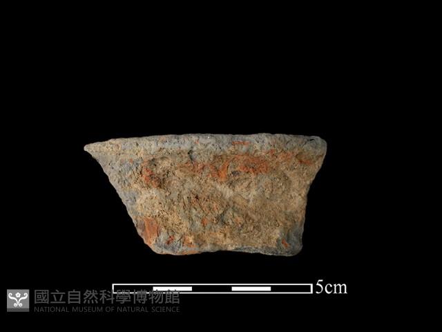 陶罐藏品圖，第1張