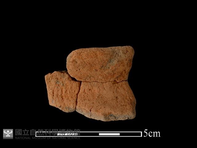 陶罐藏品圖，第2張