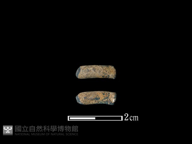 陶環藏品圖，第1張