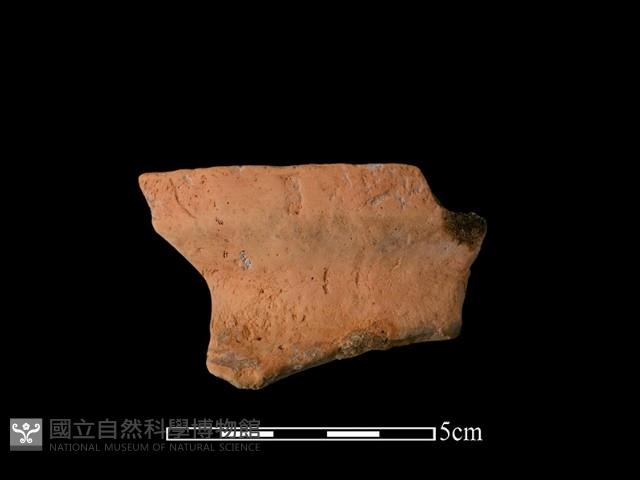 陶罐藏品圖，第1張