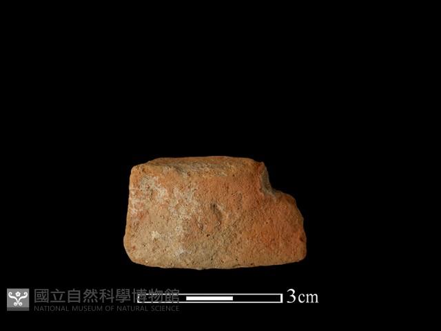 陶片藏品圖，第2張