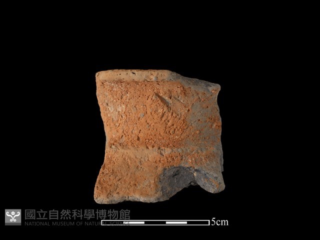 陶罐藏品圖，第1張