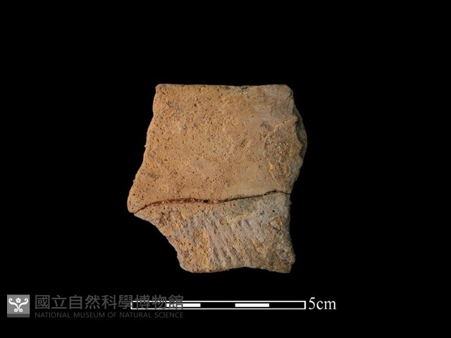 陶缽藏品圖，第2張