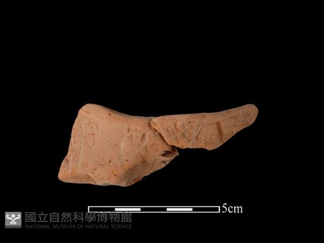 陶片藏品圖，第2張