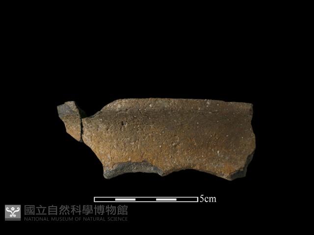 陶罐藏品圖，第2張