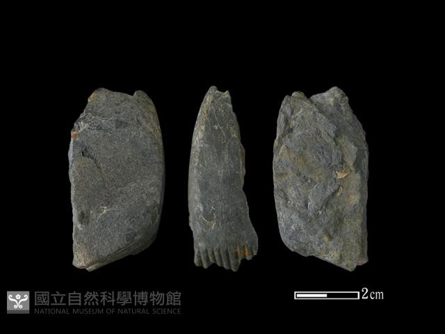 有槽石棒藏品圖，第1張