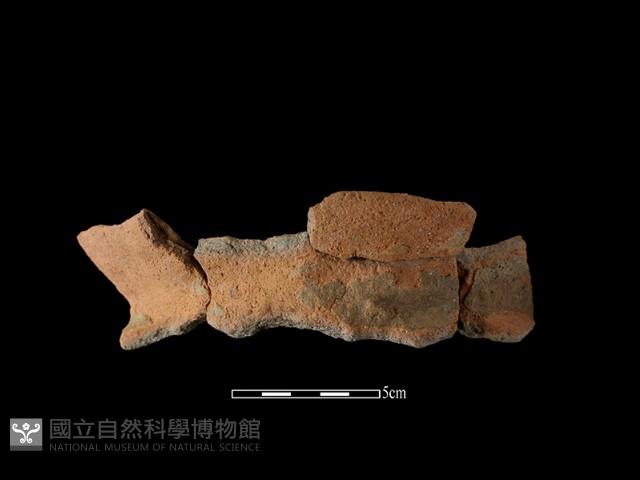 陶罐藏品圖，第1張