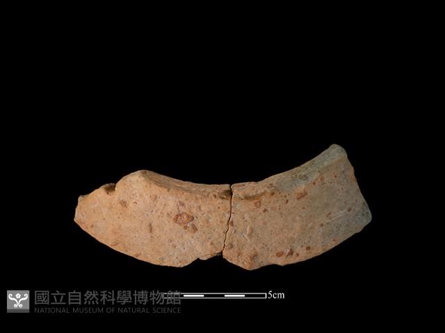 陶片藏品圖，第1張