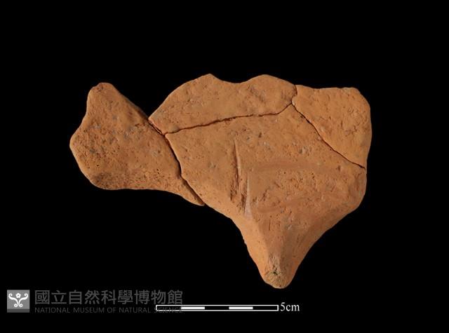 連杯形器藏品圖，第2張