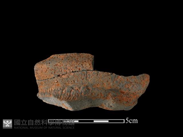 陶罐藏品圖，第2張