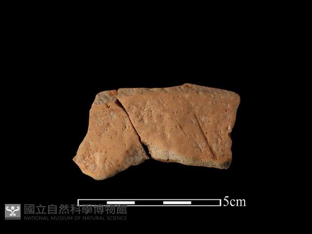 陶罐藏品圖，第1張